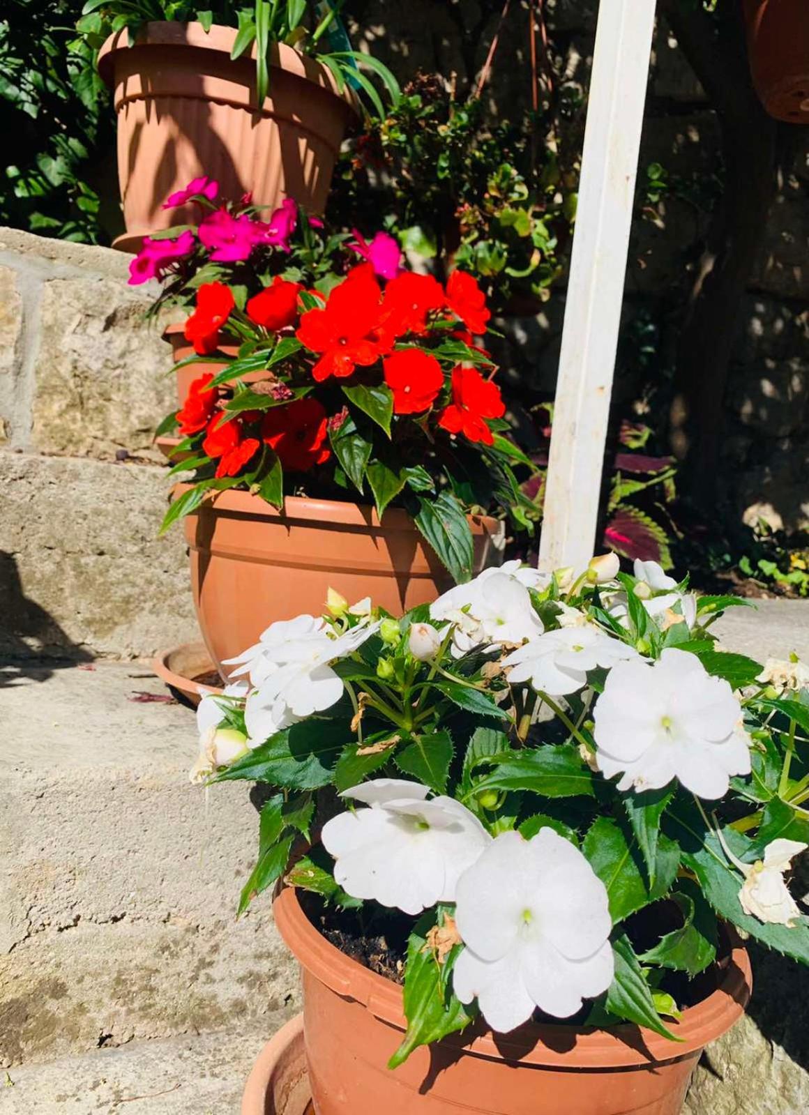 Apartman More * Mošćenička Draga