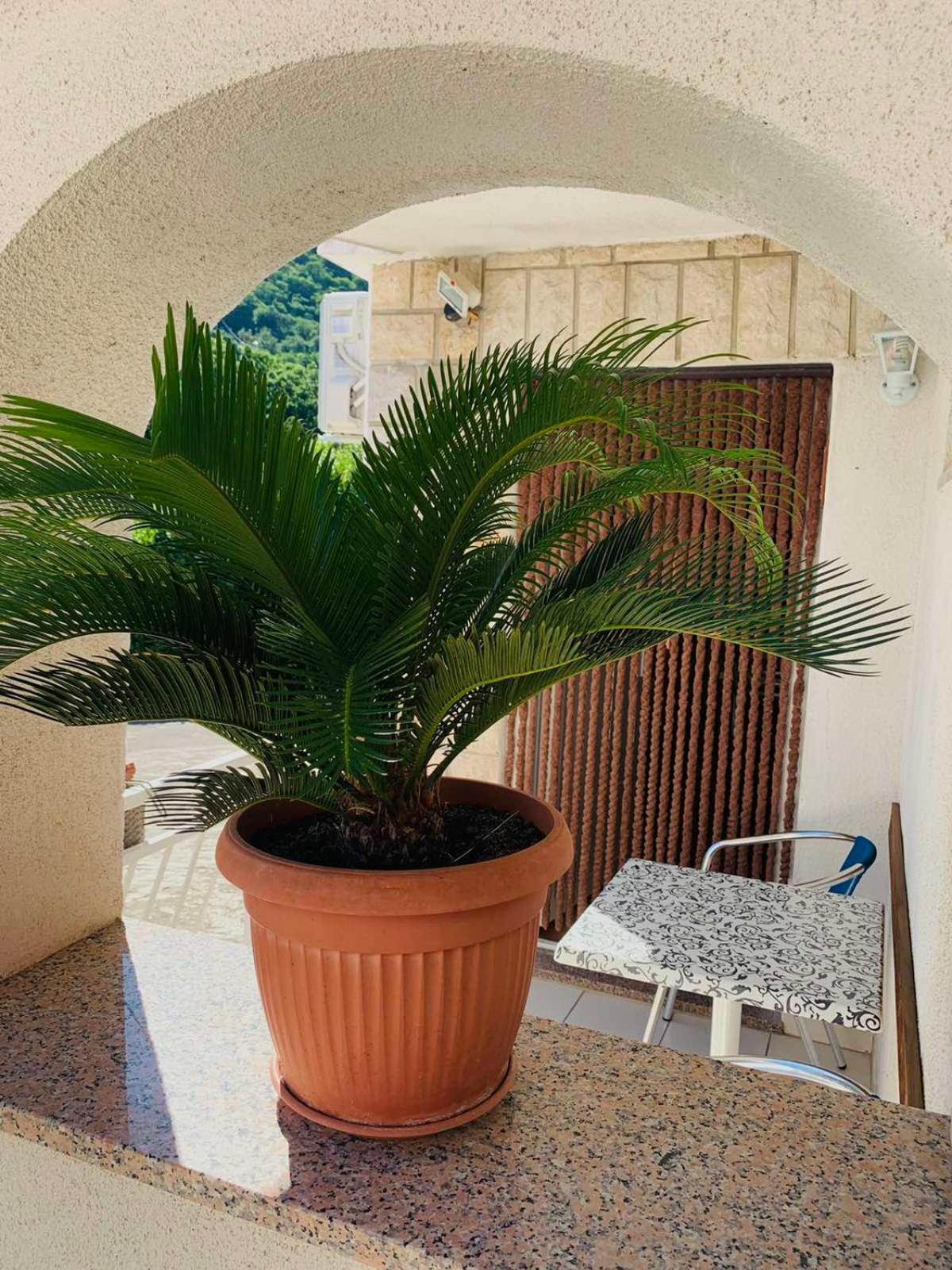 Apartman Apartman More *