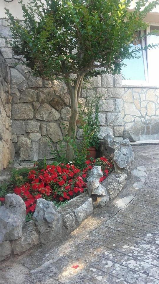 Apartman More